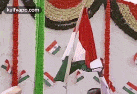 Kcr Hoists National Flag To Mark Telangana Formation Day.Gif GIF - Kcr Hoists National Flag To Mark Telangana Formation Day Kcr National Flag GIFs