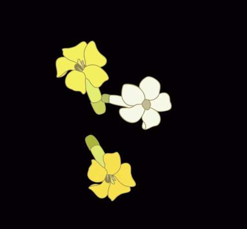 Puakenikeni Idimedley GIF - Puakenikeni Idimedley Dancing Flowers GIFs