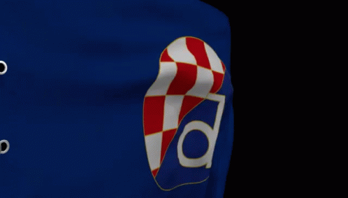 Dinamo Dinamo Zagreb GIF - Dinamo Dinamo Zagreb Hrvatska GIFs