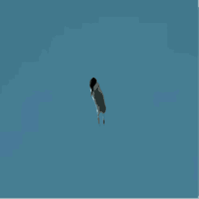 a bird is flying in the air with a news headline in spanish