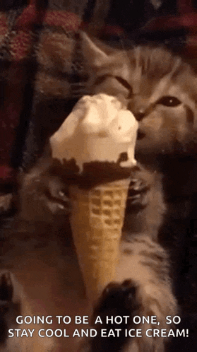 a cat is eating an ice cream cone with the words going to be a hot one , so stay cool and eat ice cream