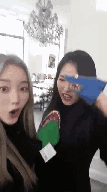 two girls are standing next to each other in a room . one of the girls is holding a shark toy .