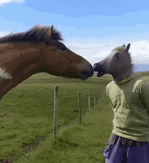 Horses Weird GIF - Horses Weird Kiss GIFs