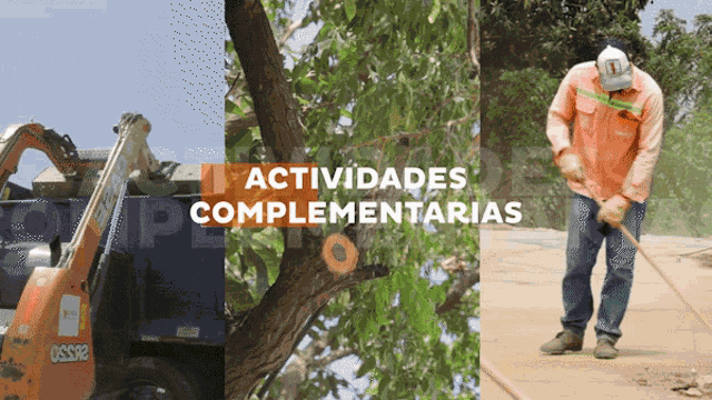 a collage of images with the words " actividades complementarias "