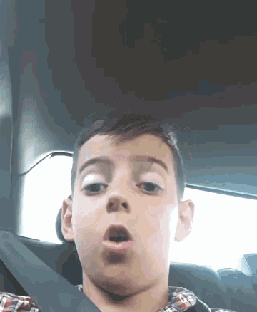 a young boy wearing a plaid shirt is sitting in the back seat of a car