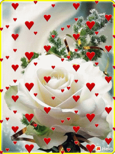 गुलाब सफ़ेदगुलाब GIF - गुलाब सफ़ेदगुलाब निमिष GIFs