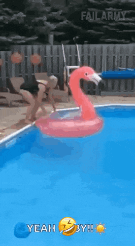 a woman is jumping into a swimming pool with a pink flamingo float .