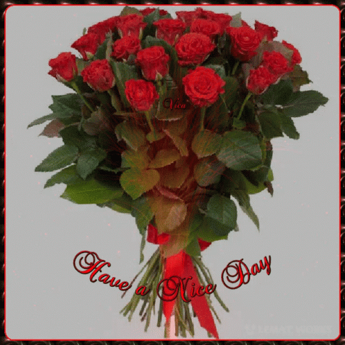 Szép Napot Flower GIF - Szép Napot Flower Roses GIFs