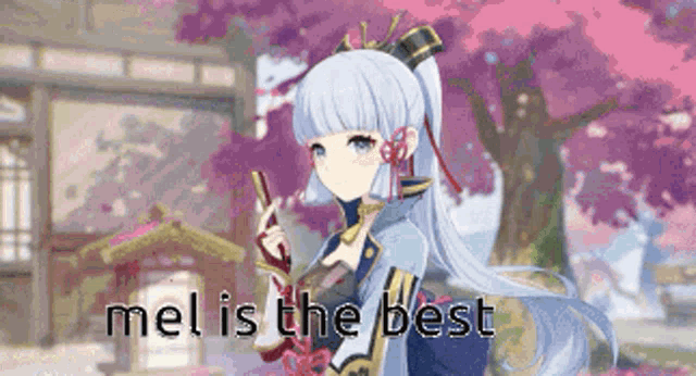 a pixel art of a girl holding a sword and the words `` mel is the best '' .