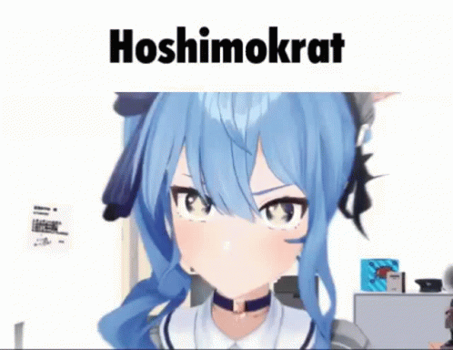 Hoshimokrat Hololive GIF - Hoshimokrat Hololive Hoshimachi GIFs