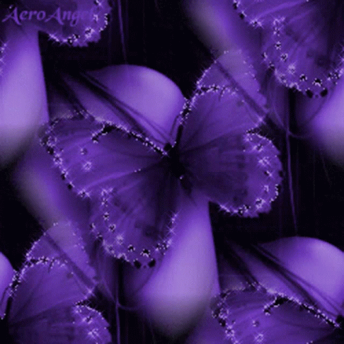Butterfly Aesthetic Background GIF - Butterfly Aesthetic Background GIFs