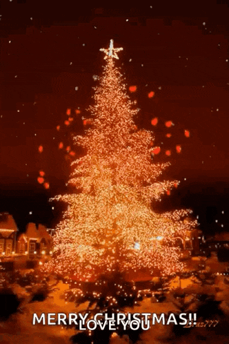 a christmas tree with a star on top is lit up at night