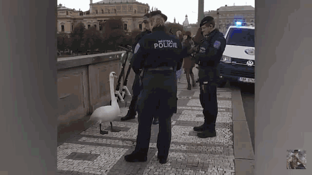 Funny Police GIF - Funny Police Look At Us GIFs