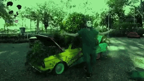 Panda Mask GIF