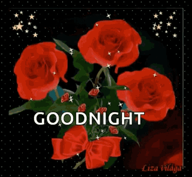 a bouquet of red roses with the words goodnight written on the bottom