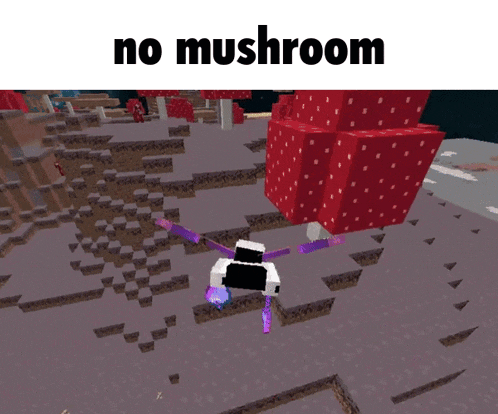 a screenshot of a video game with the words no mushroom at the top