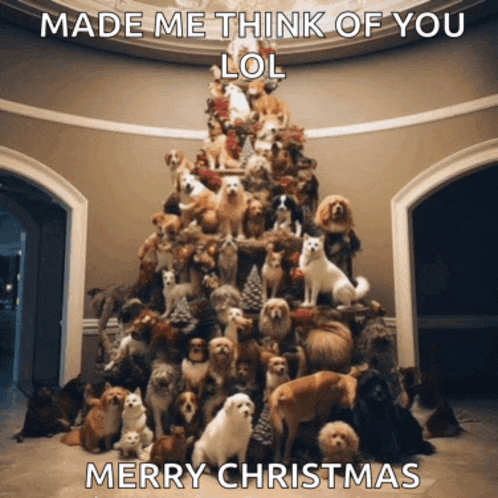 a christmas tree made out of dogs and cats with the caption merry christmas