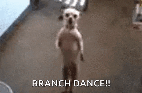 a small white dog is standing on its hind legs in a room and dancing .