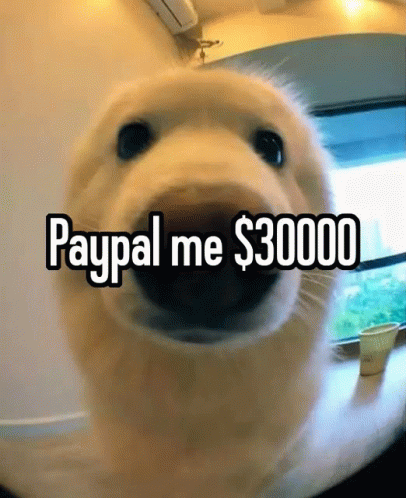 Paypal Paypal Me30000 GIF - Paypal Paypal Me30000 GIFs