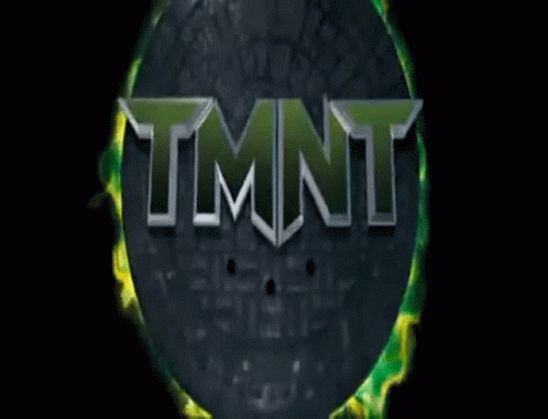 Turtles Tmnt GIF - Turtles Tmnt Teenage Mutant Ninja Turtles GIFs