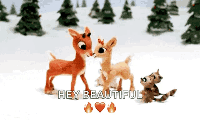 a couple of stuffed reindeer standing next to each other with the words hey beautiful behind them