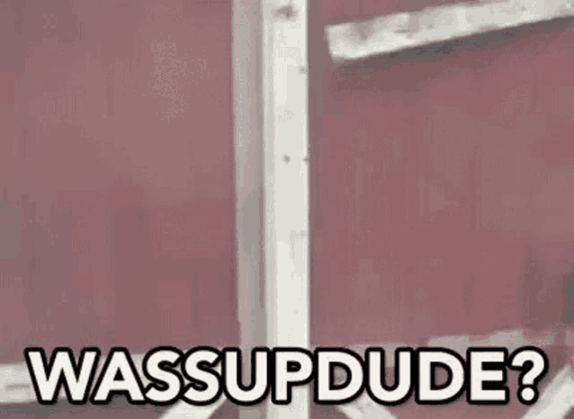 a person is standing in front of a red wall and saying `` wassup dude ? ''