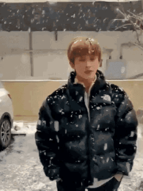 a boy in a black jacket is standing in the snow .
