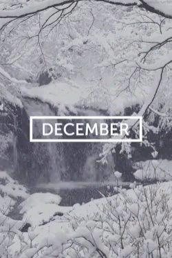 December Winter GIF - December Winter Wonderland GIFs