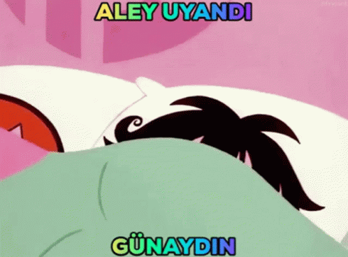 Aley Aleyy GIF - Aley Aleyy Aleyyy GIFs