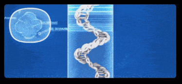 a computer generated image of a cell and dna