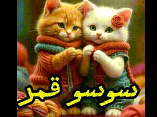 two cats wearing scarves and sweaters are sitting next to each other