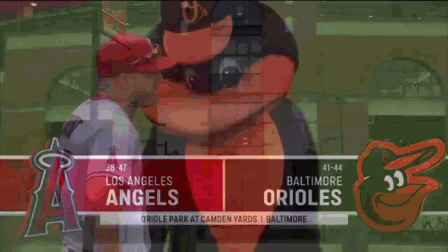 Mike Trout Oriole Bird GIF - Mike Trout Oriole Bird Orioles GIFs