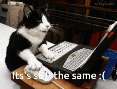 Computer Cat GIF - Computer Cat Its Still The Same GIFs