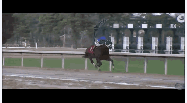 a jockey rides a horse on a race track with the number 10 on the fence