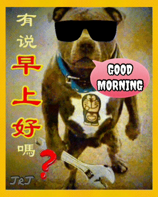 a picture of a dog wearing sunglasses and a doraemon shirt says good morning