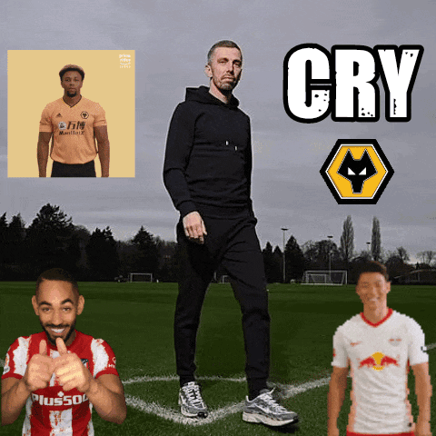 Wolves Wolverhampton Wanderers GIF - Wolves Wolverhampton Wanderers Wolverhampton GIFs