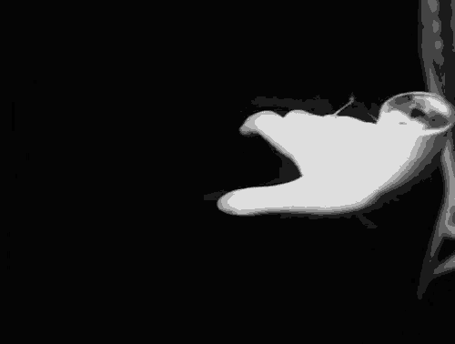 a black and white photo of a hand with a glove on it