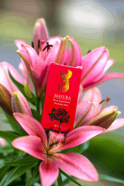 a pink flower with a red mayura box on top of it