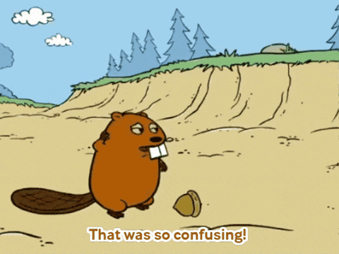 a cartoon of a beaver with the words i liked it