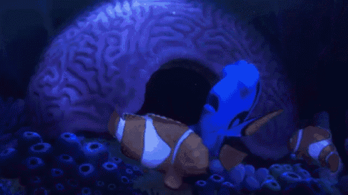 Putting Dory To Sleep GIF - Finding Dory Sleepy Nemo GIFs