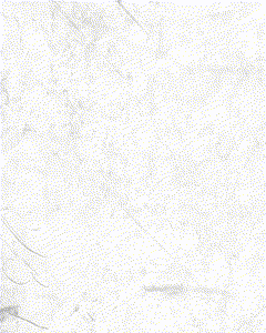 a black and white drawing of a double headed eagle on a white background