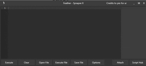 a computer screen shows a program called feather - synapse x