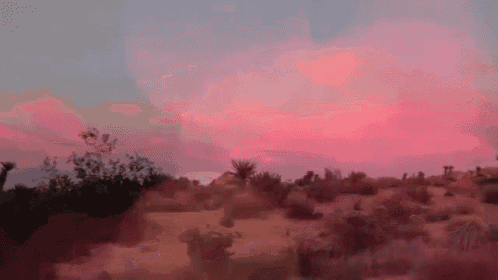 Desert Bokeh GIF - Desert Nature GIFs