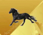 Horse Running GIF - Horse Running GIFs
