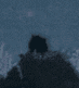 a blurry picture of a person standing in the dark