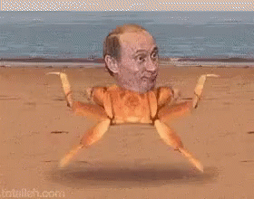 Putin Vladimirputin Putin Crab GIF - Putin Vladimirputin Putin Crab Crab GIFs