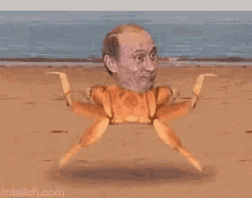 a picture of a crab with a man 's face on it .