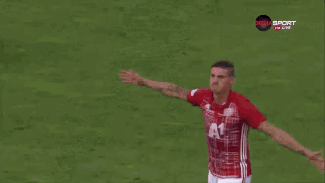 a man in a red shirt with the number 44 on it stands on a soccer field