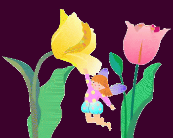 チューリップ 花　春　綺麗　自然 咲く GIF - Tulip GIFs