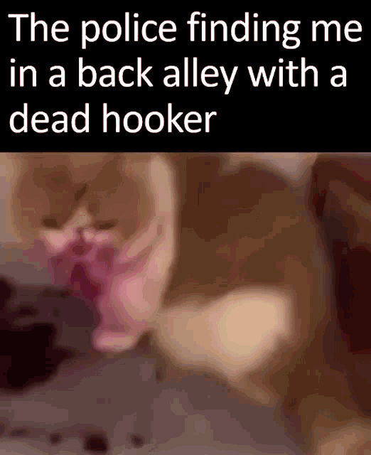 a picture of a cat with the words the police finding me in a back alley with a dead hooker below it